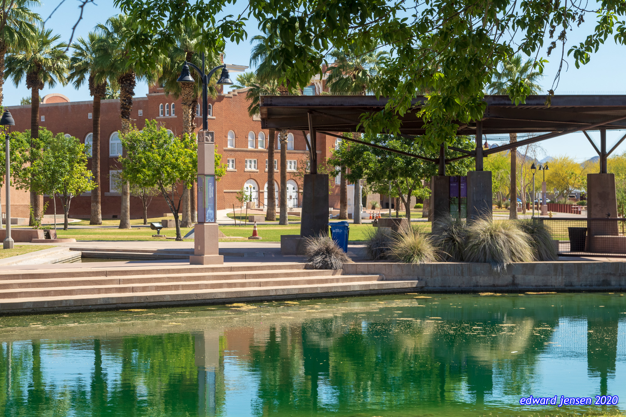 Urban park with a small pond in the foreground, stone steps leading to a covered pavilion area, ornamental grasses, palm trees, and a brick civic building in the background. Clear blue sky and green water reflections.