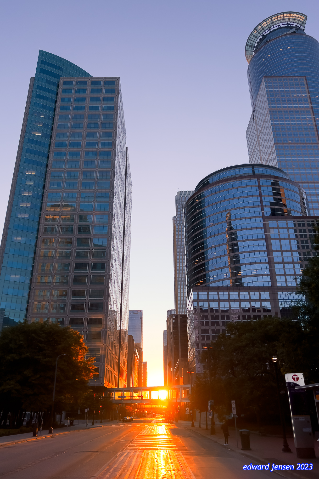 Modern city skyline at sunset with tall glass skyscrapers lining a street, sun visible between buildings creating golden light reflections on the pavement, trees along sidewalks, and a skyway connecting buildings.